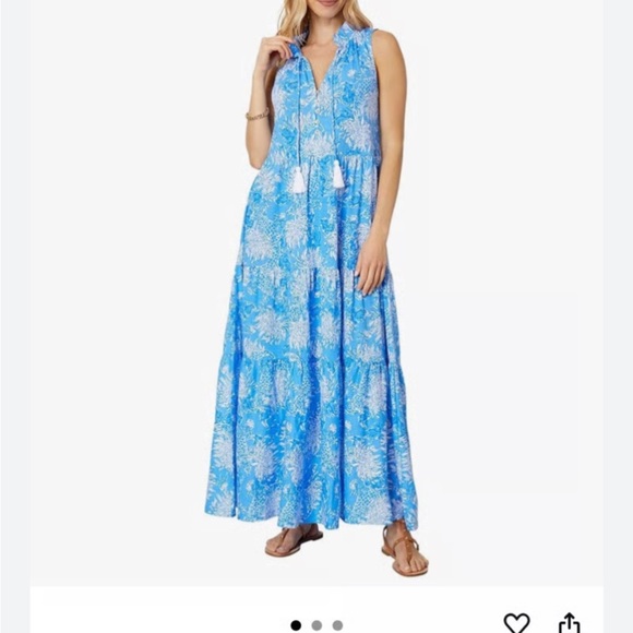 Lilly Pulitzer Malone Cotton Maxi Dress π€π - Picture 2 of 14